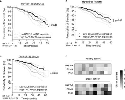 Platelet-Expressed TNFRSF13B (TACI) Predicts Breast Cancer Progression